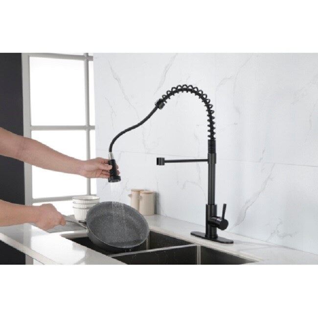 Kitchen Faucet with Pull Out Spraye