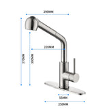 Kitchen Faucets with Pull Down Sprayer Single Handle Sink Faucet