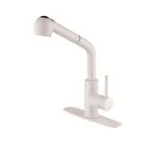 Kitchen Faucets with Pull Down Sprayer Single Handle Sink Faucet