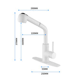 Kitchen Faucets with Pull Down Sprayer Single Handle Sink Faucet