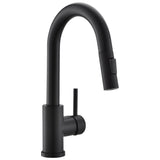 Kitchen Faucets with Pull Down Sprayer
