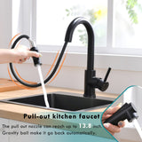 Kitchen Faucets with Pull Down Sprayer