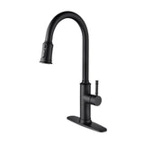 Kitchen Sink Faucet with Pull Out Spraye - 19.68in