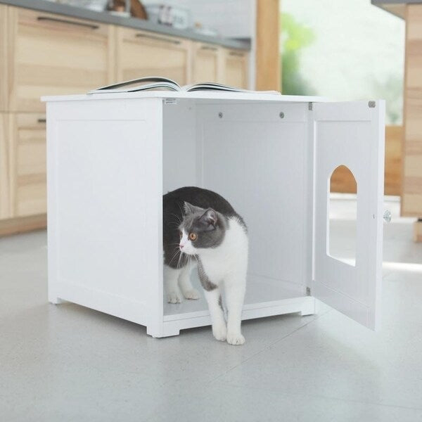 Kitty Litter Loo