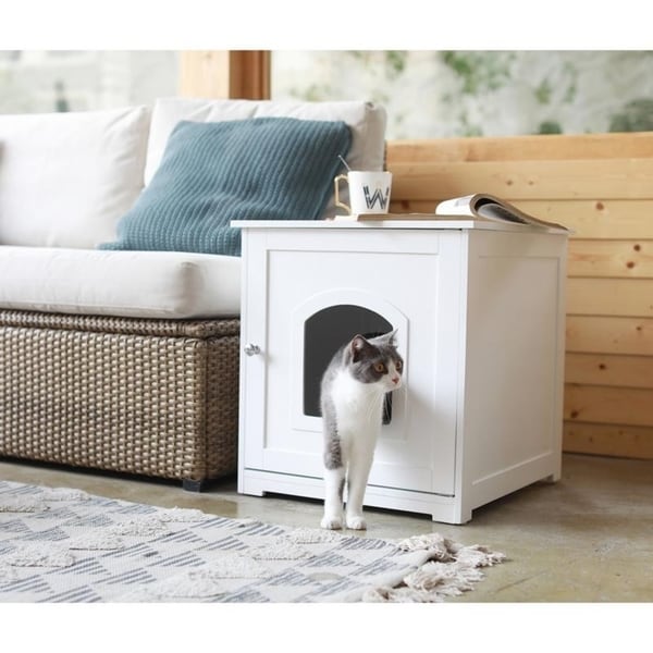 Kitty Litter Loo