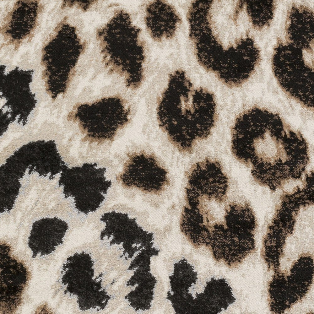 Kourou Area Rug