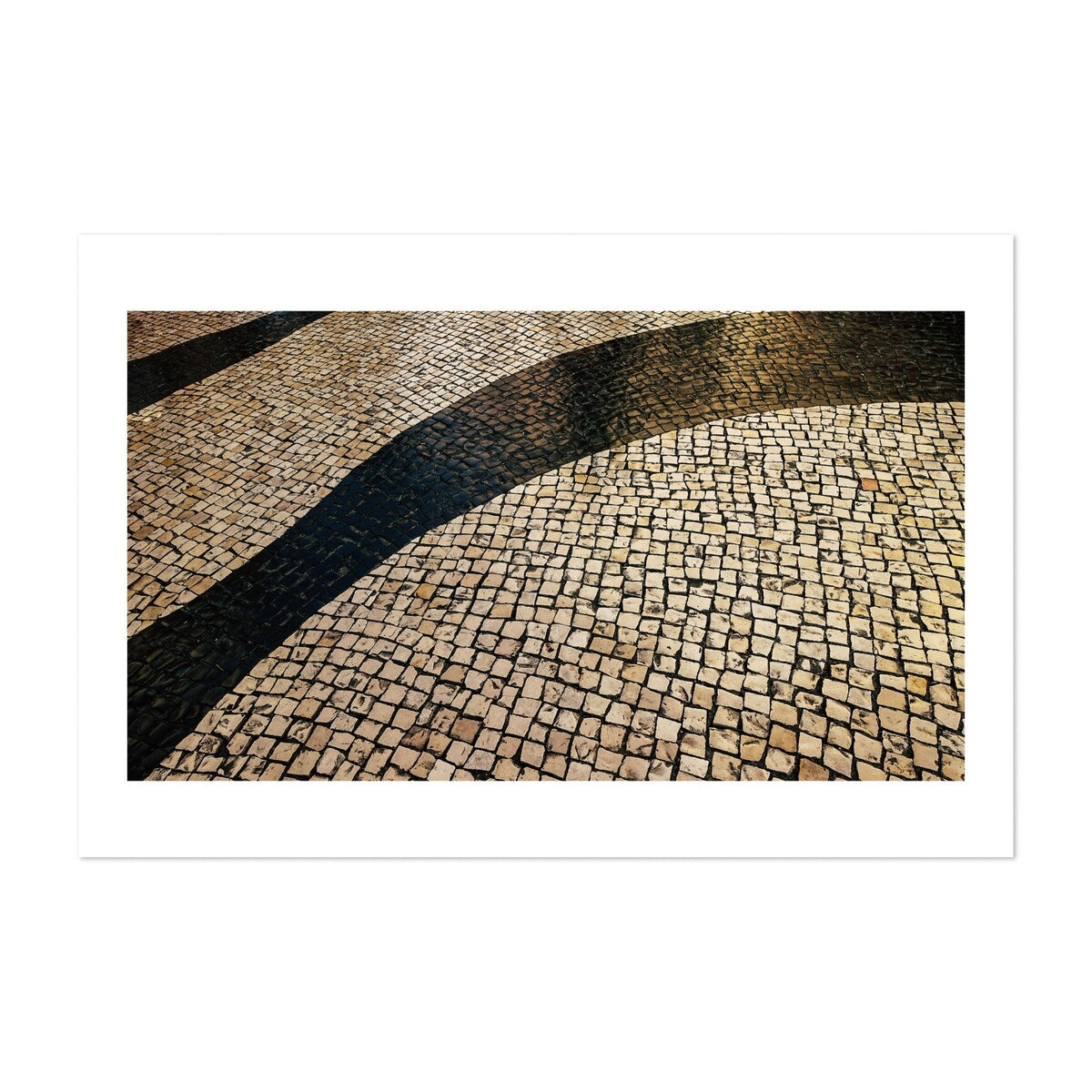 Kowloon Hong Kong Rattlesnake Photography Abstract Art Print/Poster