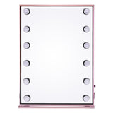 LED Lighted Makeup Mirror