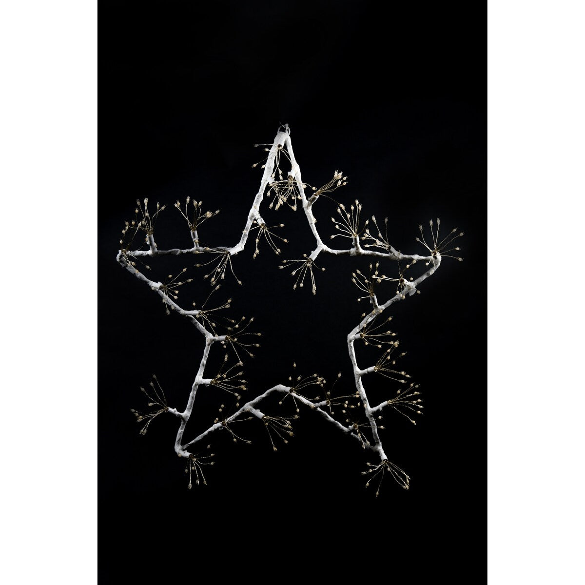 Led Star With 300 Warm White Leds - N/A
