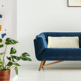 Sevita Two-Tone Cotton Fringe Throw Pillow