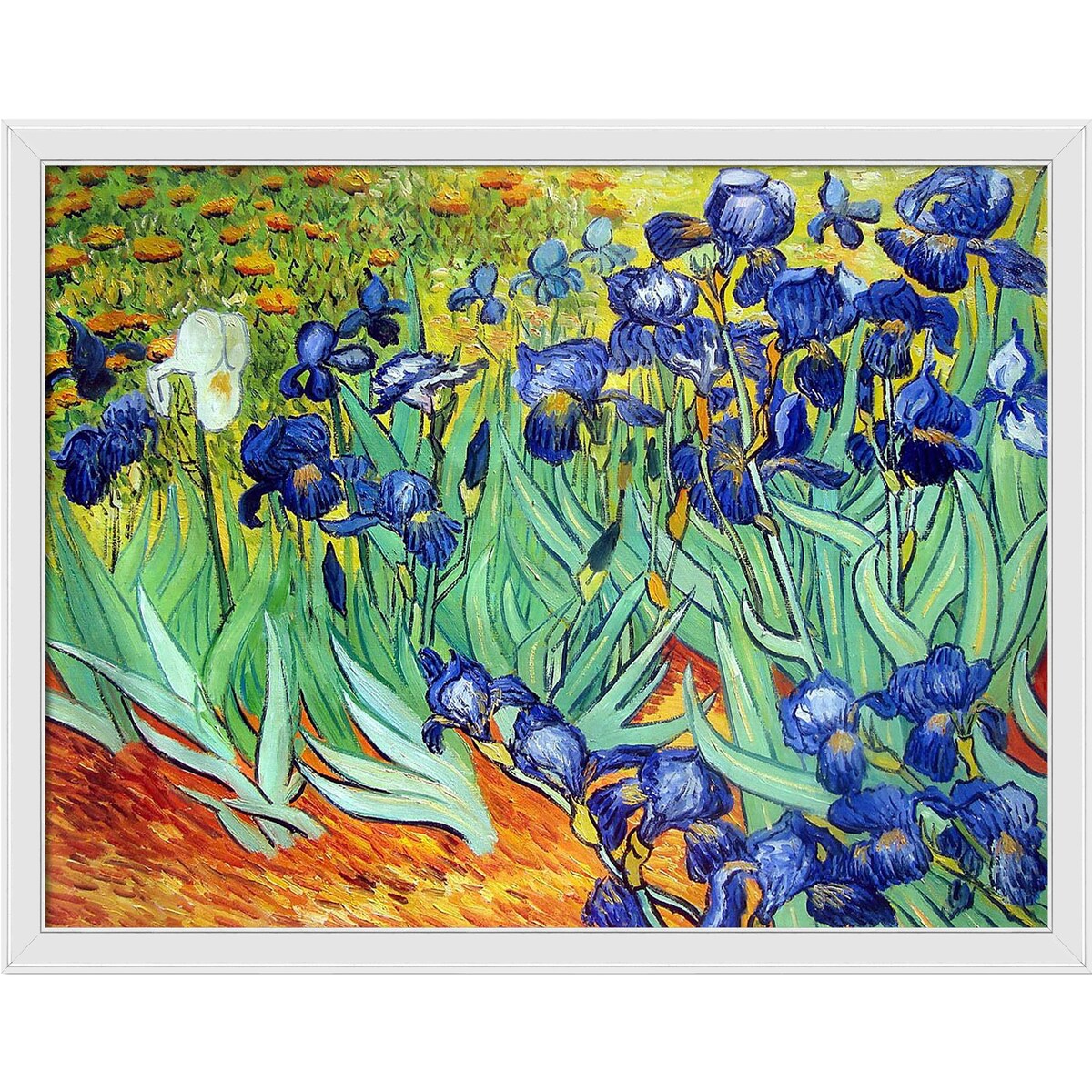 La Pastiche Irises with Gallery White, 40" x 52"