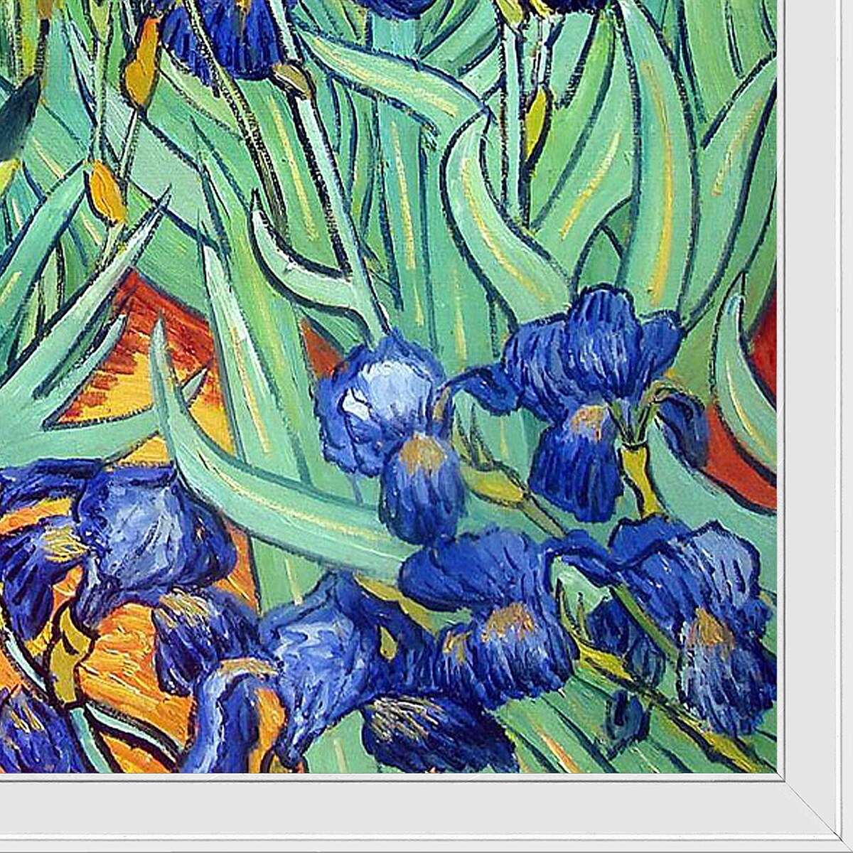 La Pastiche Irises with Gallery White, 40" x 52"