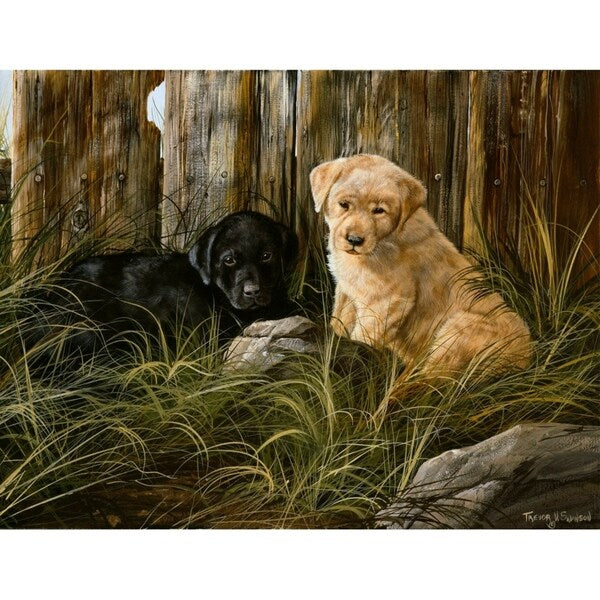 Lab Pup Pair-TRESWA129666 Framed Print 27.5"x36" by Trevor V. Swanson