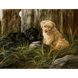 Lab Pup Pair-TRESWA129666 Framed Print 27.5"x36" by Trevor V. Swanson