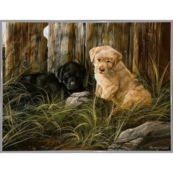 Lab Pup Pair-TRESWA129666 Framed Print 27.5"x36" by Trevor V. Swanson