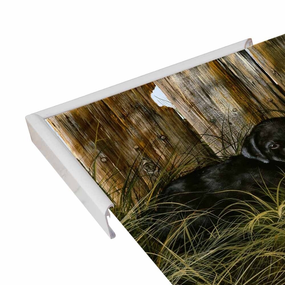 Lab Pup Pair-TRESWA129666 Framed Print 27.5"x36" by Trevor V. Swanson