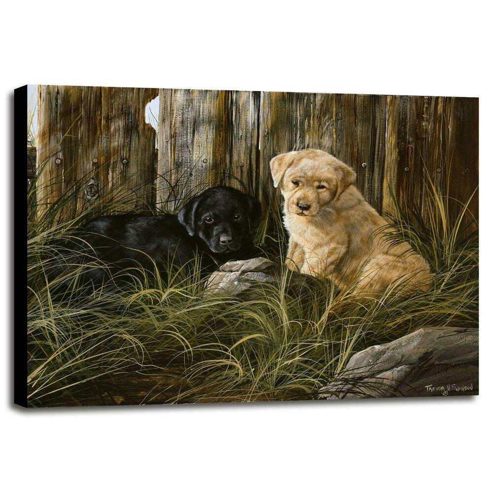Lab Pup Pair-TRESWA129666 Framed Print 27.5"x36" by Trevor V. Swanson