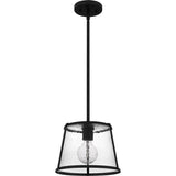 Labrant 1-Light Matte Black Mini Pendant - Matte Black
