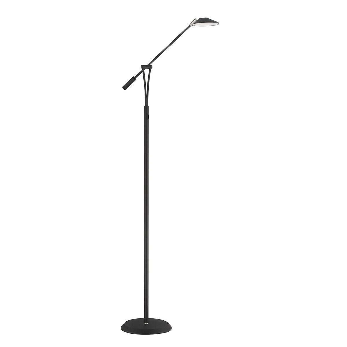 Lahoya Black and Satin Nickel Floor Lamp