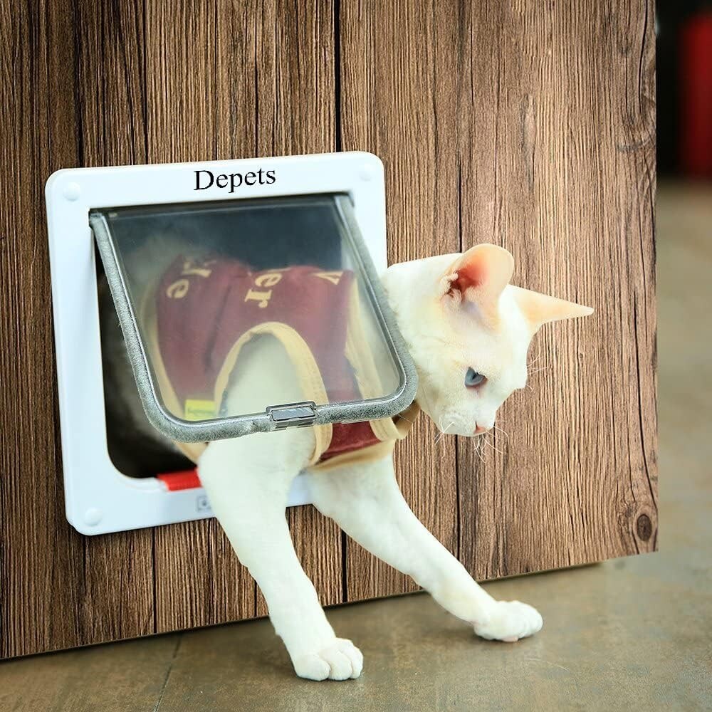 Exterior cat door outlet