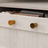 Large Glass Combination Cabinet: Contemporary Storage Closet Armoires