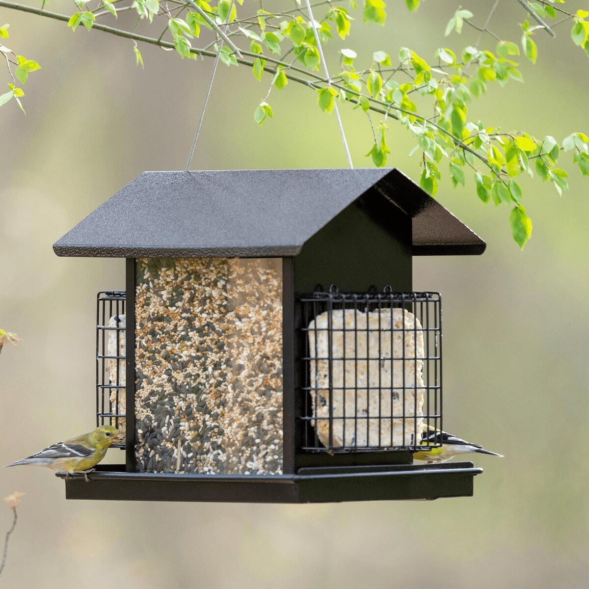 Large funnel bird feeder