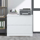 Lateral File Cabinet 2 Drawer,Filing Cabinet with Lock, Lockable File Cabinet for Home Office
