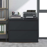 Lateral File Cabinet 2 Drawer,Filing Cabinet with Lock, Lockable File Cabinet for Home Office