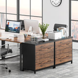 Lateral File Cabinet, 2-Drawer Filing Cabinet