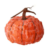 Latex Hybrid Pumpkin