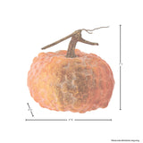 Latex Hybrid Pumpkin