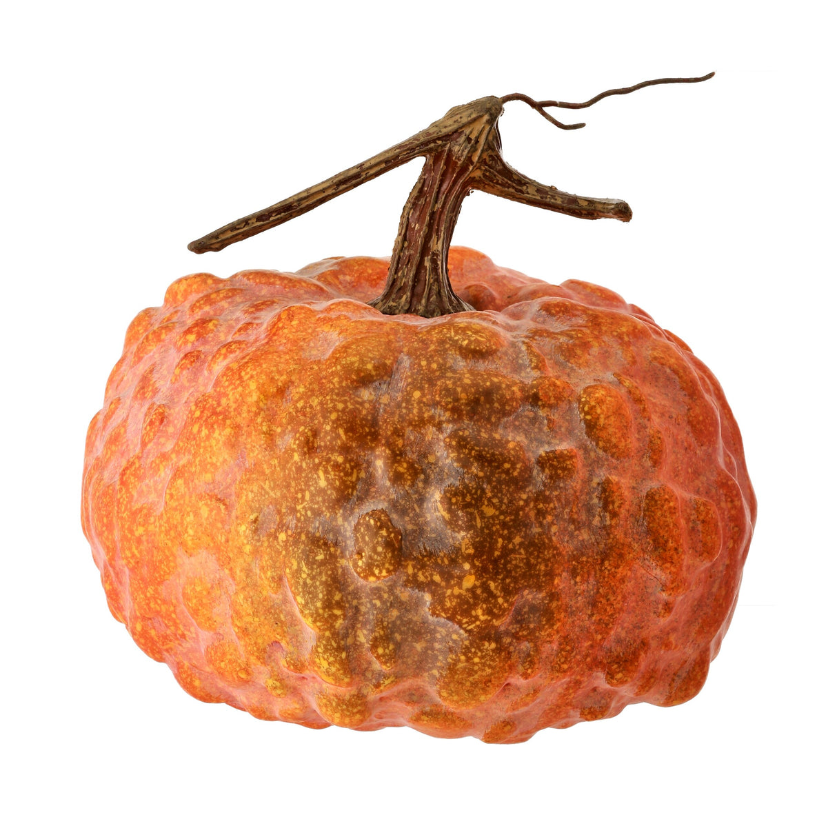 Latex Hybrid Pumpkin