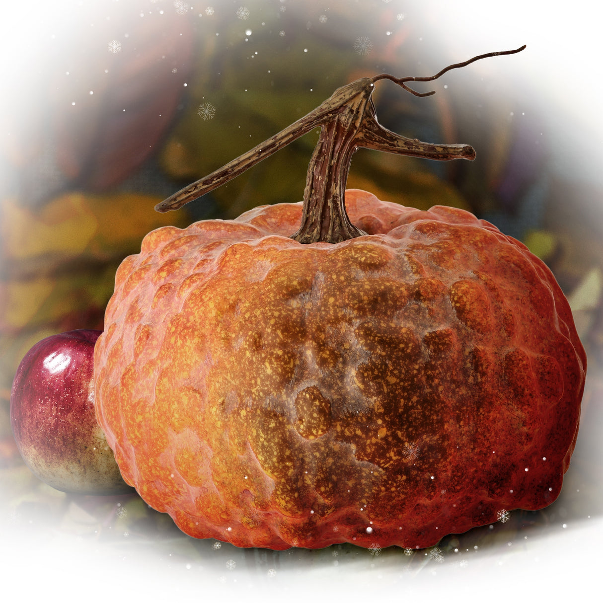 Latex Hybrid Pumpkin