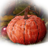 Latex Hybrid Pumpkin