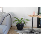 39.5"H Real touch agave in Fiberstone Planter - 38"