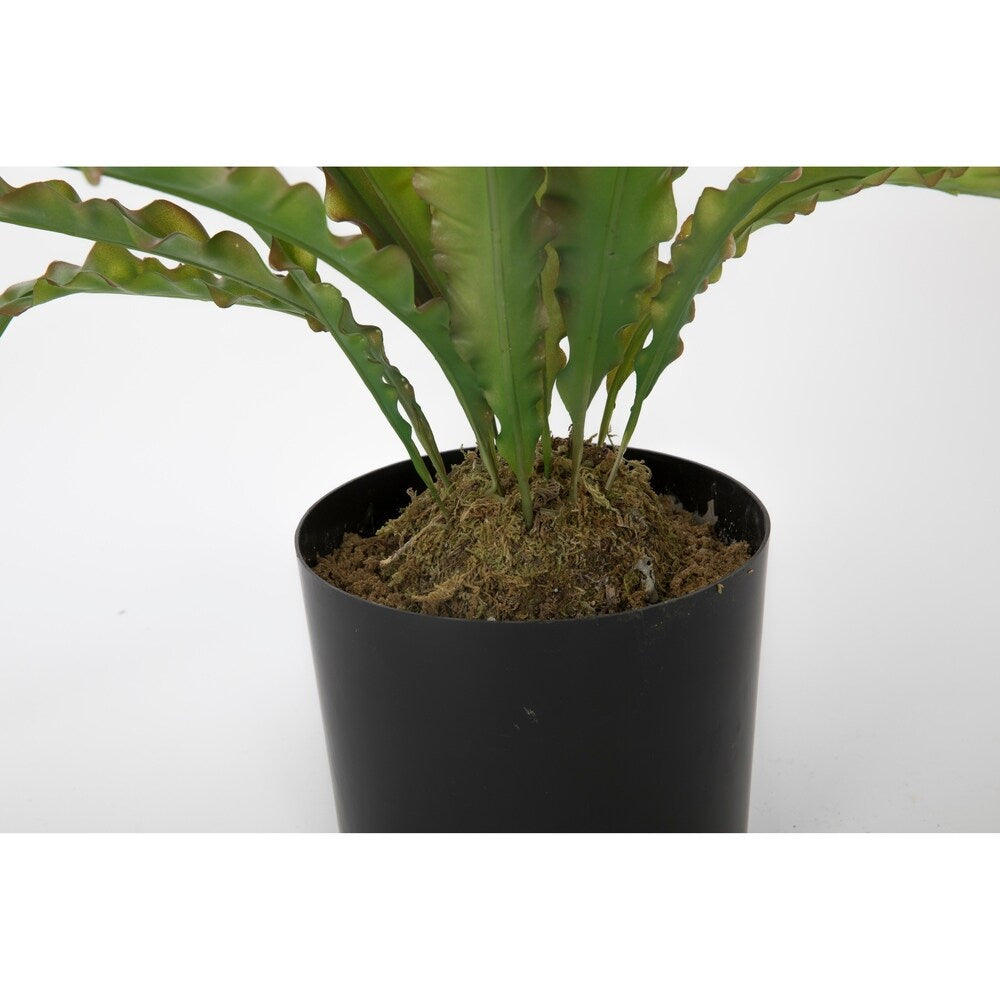 39.5"H Real touch agave in Fiberstone Planter - 38"