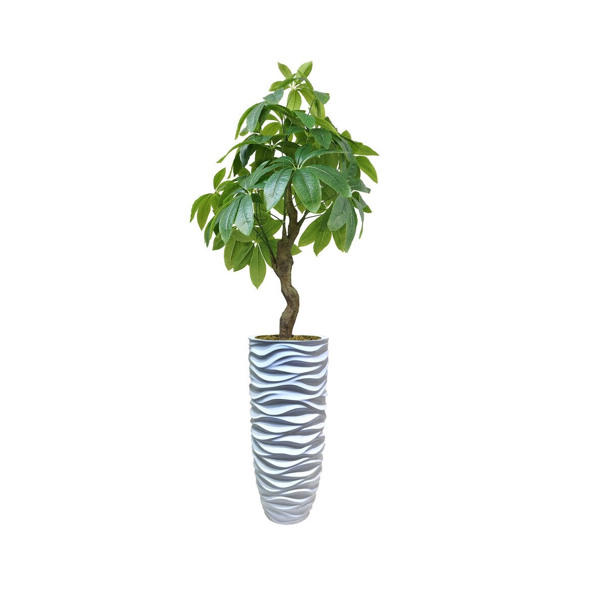 50" Pachira Aquat Real touch, indoor/outdoor in Fiberstone Planter - 70"