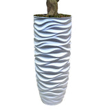 50" Pachira Aquat Real touch, indoor/outdoor in Fiberstone Planter - 70"
