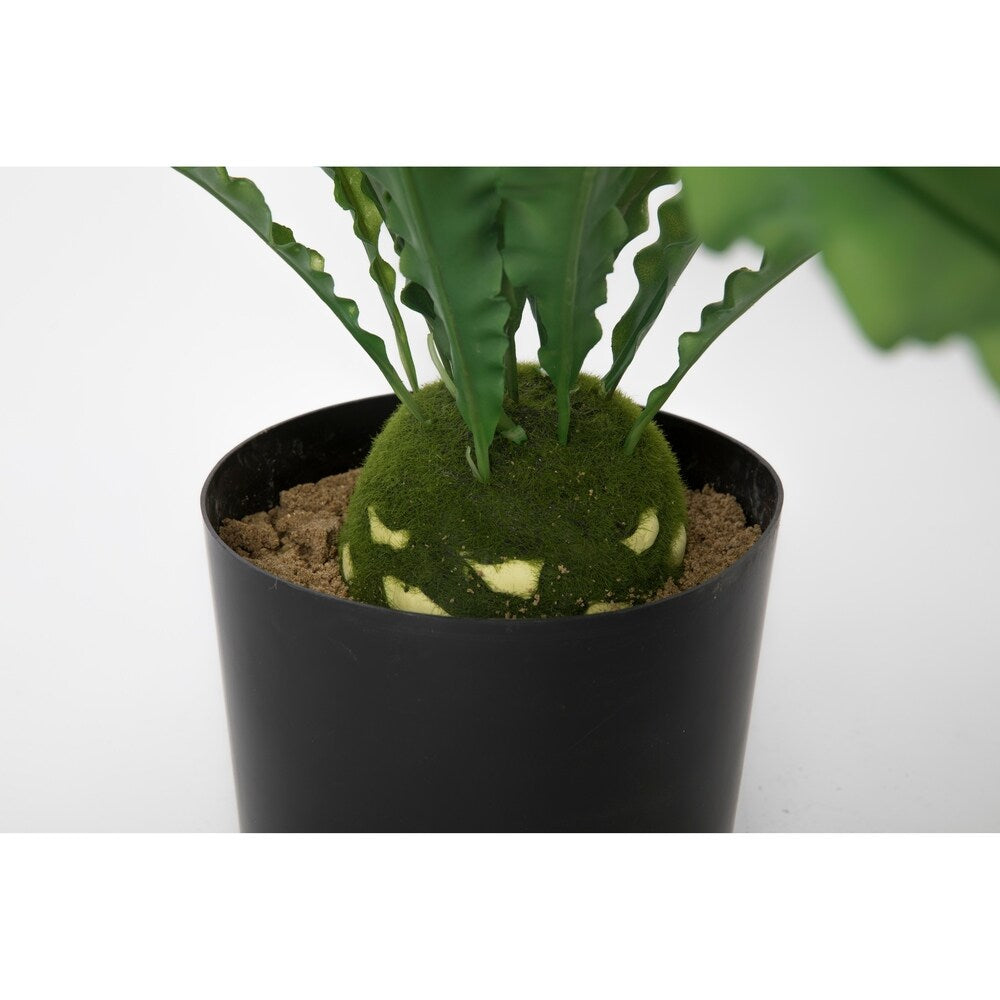 53.5" Real Touch Agave in Resin Planter - OS
