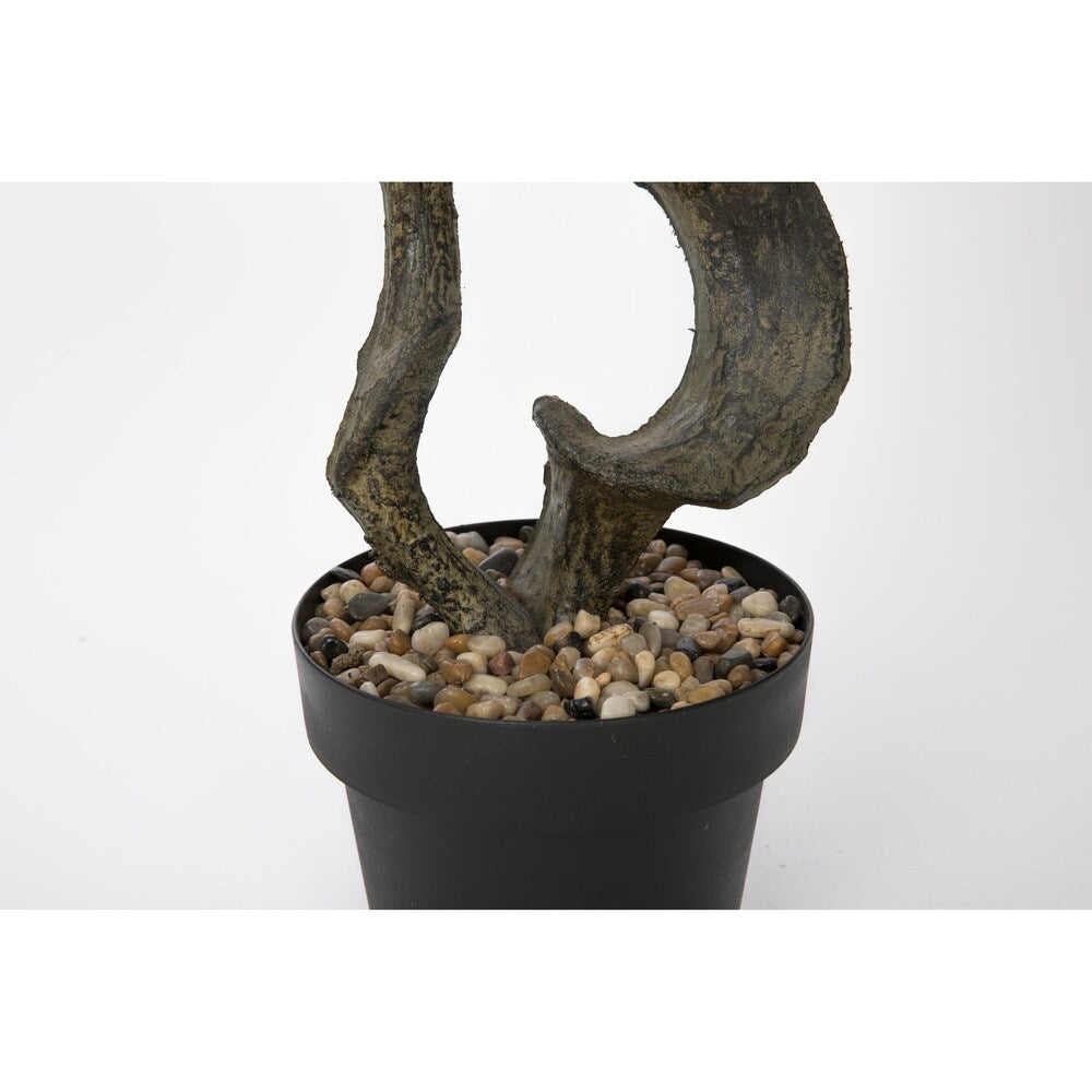 64.5" bonsai tree in Resin Planter - OS