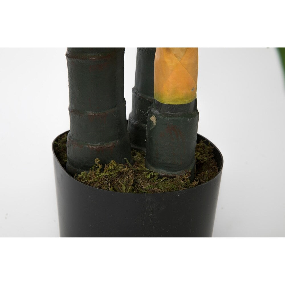 74" Real touch corn plant in Resin Planter - 85"