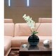 Vintage Home Real Touch White Vanda Orchid - 35"