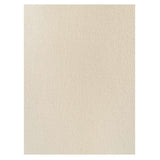 Lauren Ralph Lauren Women's Plus Jersey Cowl Neck Top (3X, Winter Cream)