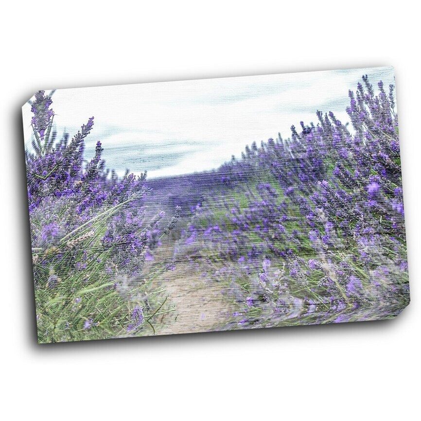 Lavender Field 20x16 Gallery Wrapped Stretched Canvas