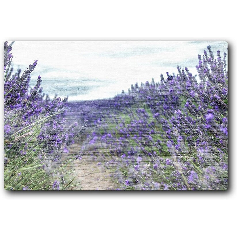 Lavender Field 20x16 Gallery Wrapped Stretched Canvas