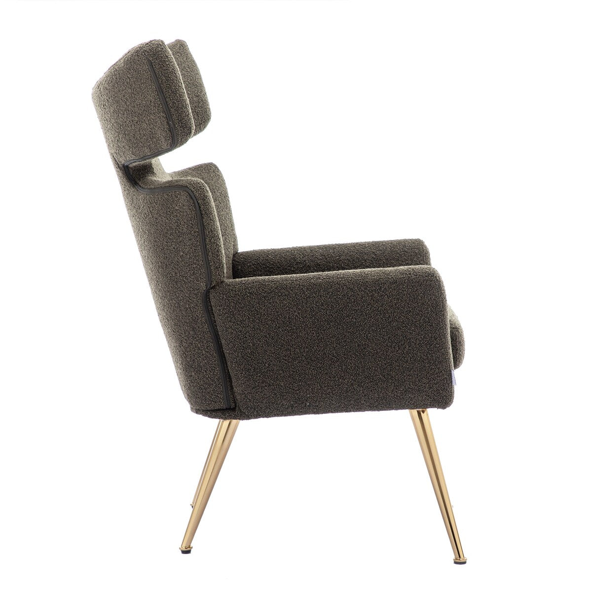 Leisure Fish Tail Accent Chair With Golden Feet