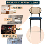LeisureMod Euston Modern Wicker Bar Stool with Powder Coated Steel Frame - 42"