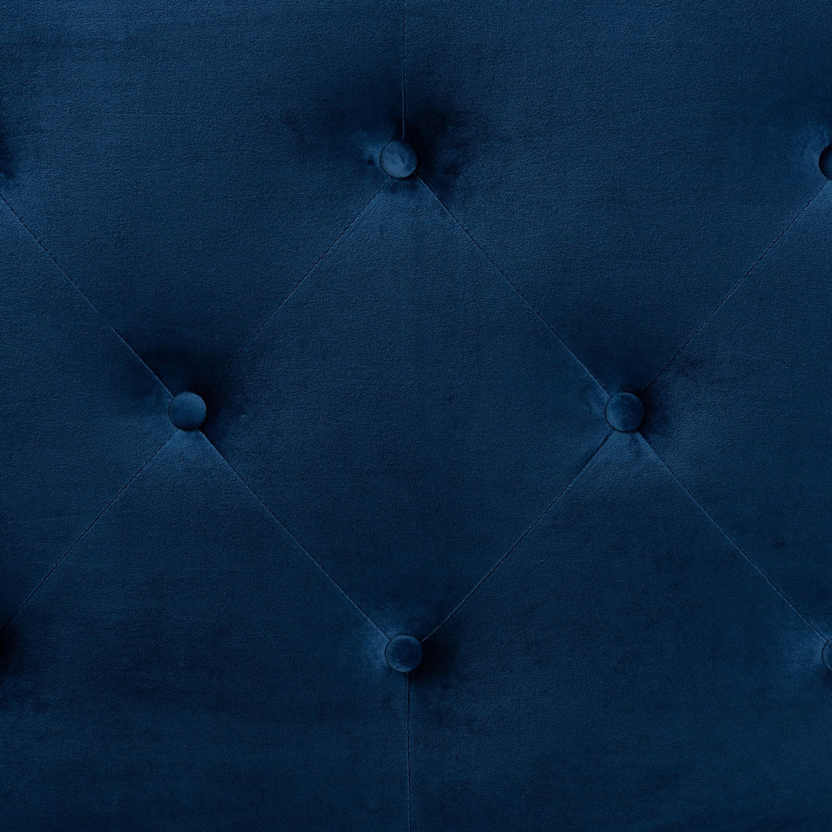 Leone Modern and Contemporary Velvet Upholstered Headboard-Navy Blue