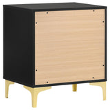 Lexie Black and Gold 2-Drawer Rectangular Nightstand