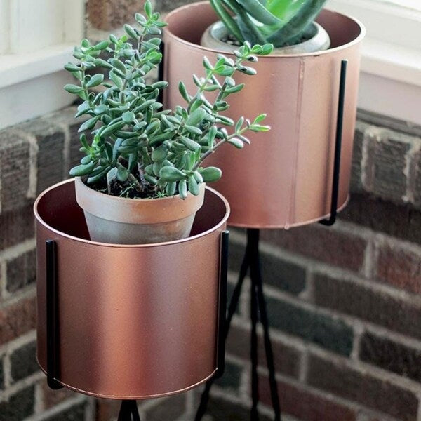 Library Plant Stand Round Large
